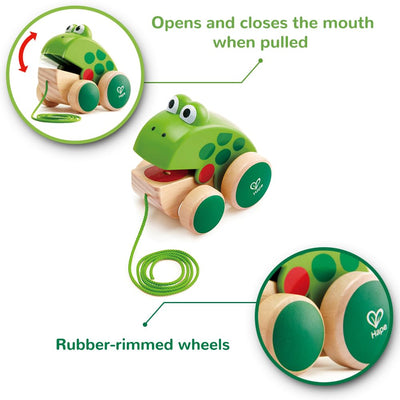 Hape Nachziehfrosch Fridolin von Hape | Holzfrosch Fliegen fressendes Nachzieh-Spielzeug für Kleinkinder, leuchtende Farben
