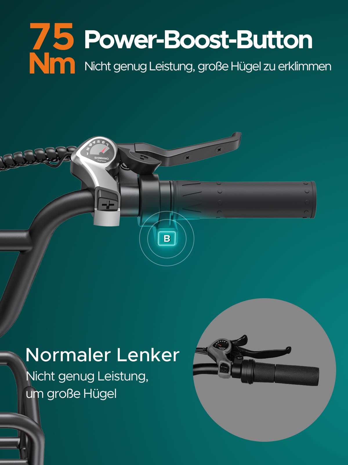 ENGWE E Bike Herren mit 48V 13Ah Batterie, 20 * 4.0 Zoll, 7-Gang Getriebe mit LCD-Display, 250W Motor & 25km/h, Reichweite bis zu 120km L20/L20 Boost