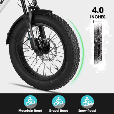 HILAND 20 Zoll 4.0 Fat Tire E Bike Cargo für Erwachsene, Aluminium Alloy Frame Fat Tire Elektrofahrrad, Suspension Fork Elektrofahrrad mit Gepäckträger für Damen und Herren Silber