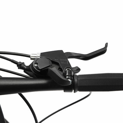 Donened 26 Zoll Mountainbike, 21 Gang Fahrrad mit Scheibenbremsen MTB für Mädchen Jungen Herren und Damen (Blau)