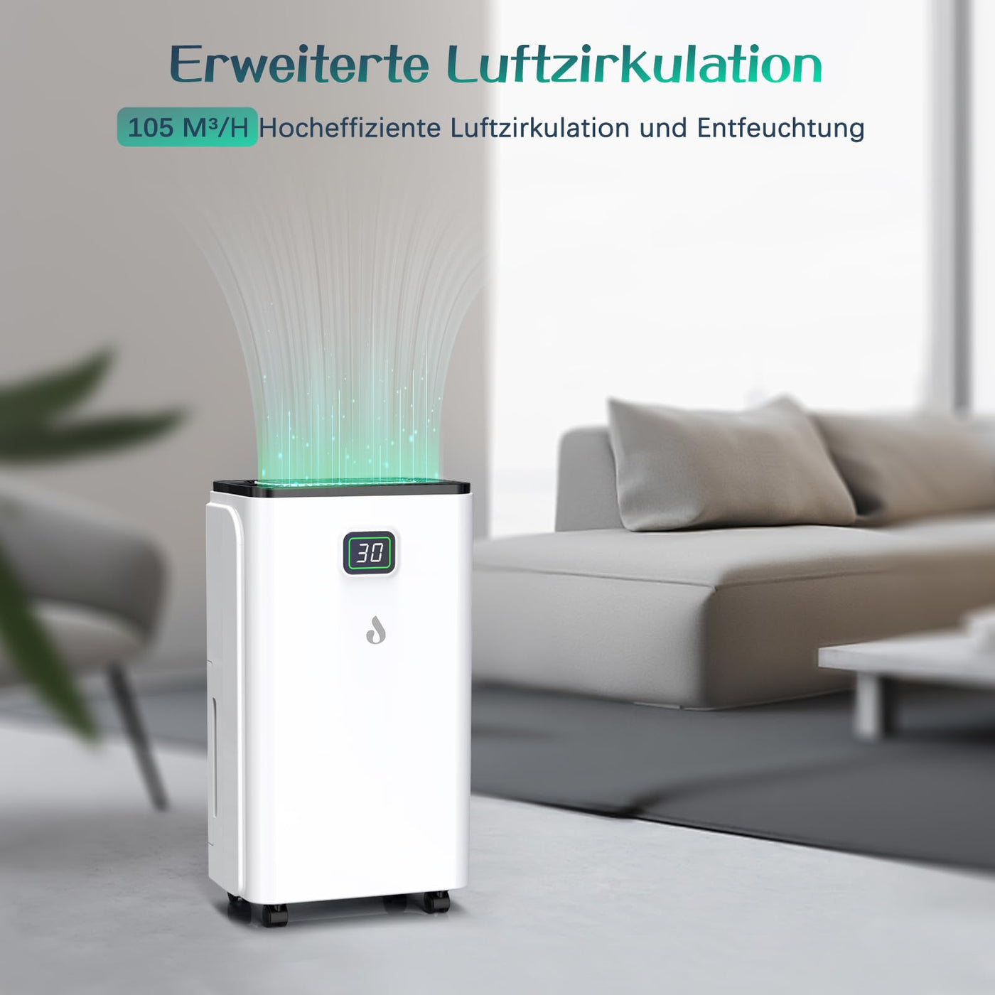 Luftentfeuchter 12L/Tag mit Digitaler Feuchtigkeitsanzeige, Automatische Entfeuchtung, 24H-Timer, Kontinuierliche Entwässerung, 2,5L Wassertank, Abflussschlauch, Ideal für Keller, Gegen Feuchtigkeit