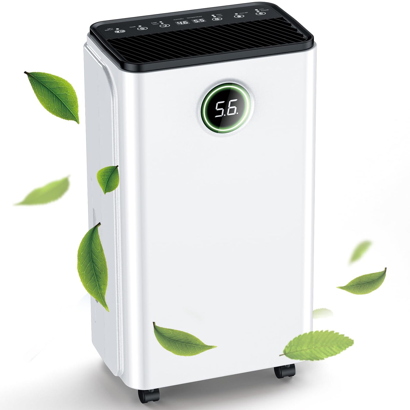 Luftentfeuchter 12L/Tag, Auto Entfeuchtung, 24H-Timer Ein/Aus, Kontinuierliche Entwässerung, Leistungsstarker Raum Luftentfeuchter mit LED Display und Steuerung, Gegen Feuchtigkeit