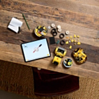 LEGO Icons Transformers Bumblebee, Roboter-Actionfigur für Erwachsene zum Sammeln, Bauset zum Film für Science-Fiction-Fans, lässt Sich in EIN Auto umbauen, Abenteuer-Spielzeug 10338