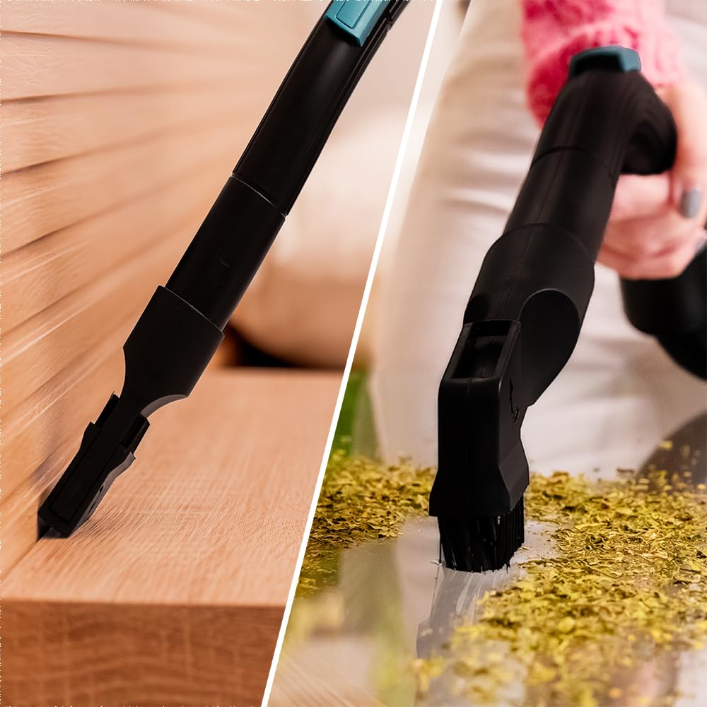 Cecotec Staubsauger mit 2-Liter-Beutel Conga Powerbag 2000. 800 W, Hocheffiziente Filtration, Metall-Teleskoprohr, Inklusive Zubehör für Möbel und Ecken