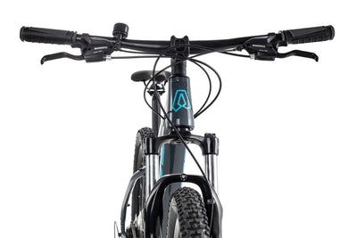 Axess Sandee Mountainbike | MTB-Hardtail | 14-Gang Schaltung | Mechanische Scheibenbremsen, Farbe:Grey, Rahmengröße:21 Zoll, Laufradgröße:29 Zoll