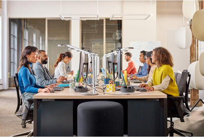 MK370 Combo for Business – Graphit, Französisches AZERTY-Layout