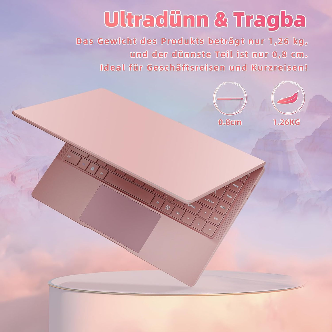 Fsjun 14 Zoll Roségold Laptop, 8G RAM 256G SSD, IPS FHD Display, 4core-4thread J4105,Ultra-dünn,USB3.0,HDMI,PC,Notebook