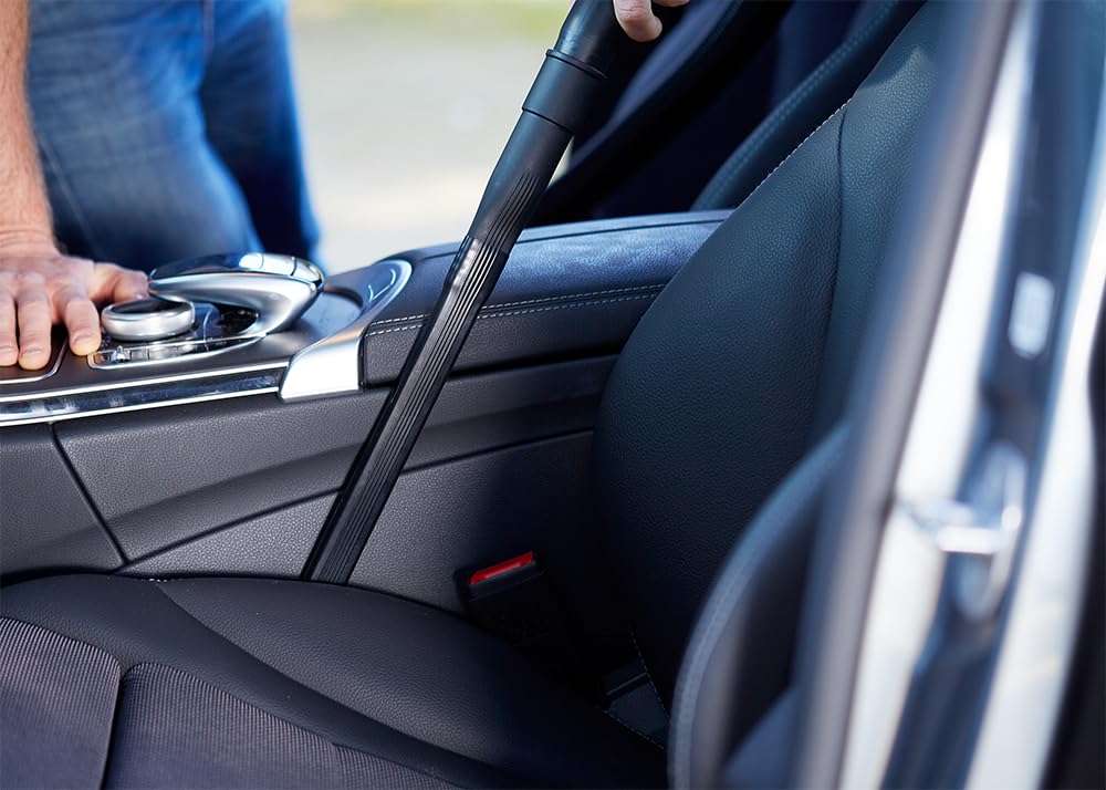 Nilfisk Buddy II 12L Nass- & Trockensauger für Haus, Garten und Auto | Nass Trockensauger für drinnen und draußen (1200 W)