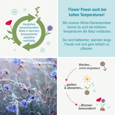 10x "Winterblumen" Winter Samenbomben Kindergeburtstag / treiben aus bei Kälte! / Geschenke Mitgebsel - Kinder Geburtstag Mitbringsel - Kleinigkeit give-away