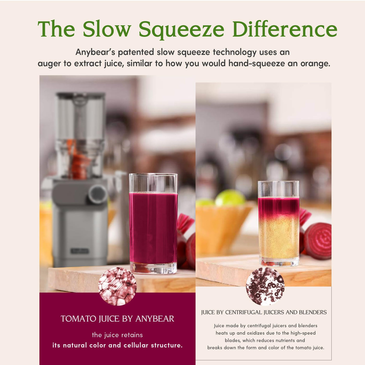 Anybear Entsafter, 200W Slow Juicer Kaltentsafter mit 110 mm großem Einfüllschacht für ganze Früchte/Gemüse | Upgraded Schnecke | Tritan-Material | BPA-frei | Inkl. Saftrezepte (Silber)