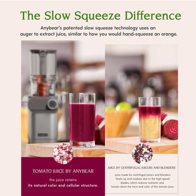 Anybear Entsafter, 200W Slow Juicer Kaltentsafter mit 110 mm großem Einfüllschacht für ganze Früchte/Gemüse | Upgraded Schnecke | Tritan-Material | BPA-frei | Inkl. Saftrezepte (Silber)
