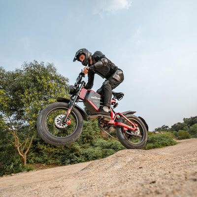 RZOGUWEX Elektrofahrrad, 20 Zoll 160NM Doppelmotor-Offroad-EBIKE für Erwachsene mit abnehmbarem 48V 30AH Lithium-Ionen-Akku, doppelte hydraulische Scheibenbremse