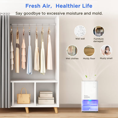 Luftentfeuchter Elektrischer,EasyAcc 1200ml Entfeuchter Klein Leise Tragbarer Mini Raumentfeuchter Automatischer Gegen Feuchtigkeit Dehumidifier für Büro,Schlafzimmer,Badezimme Farbige Nachtlicht