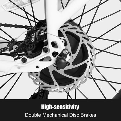 HILAND 20 Zoll 4.0 Fat Tire E Bike Cargo für Erwachsene, Aluminium Alloy Frame Fat Tire Elektrofahrrad, Suspension Fork Elektrofahrrad mit Gepäckträger für Damen und Herren Silber