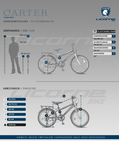 Licorne Bike Carter Premium Mountainbike in 20 Zoll Fahrrad für Kinder Mädchen Jungen 6 Gang Shimano Schaltung (Kinderfahrrad, Schwarz/Blau)