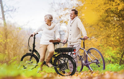 SachsenRAD E-Folding Bike F2 Farmers 20 Zoll elektrisches Fahrrad Faltbar, 470 Wh Akku bis 130 km Distanz,Damen Herren Elektrofahrrad Ebike mit StVZO-Zulassung
