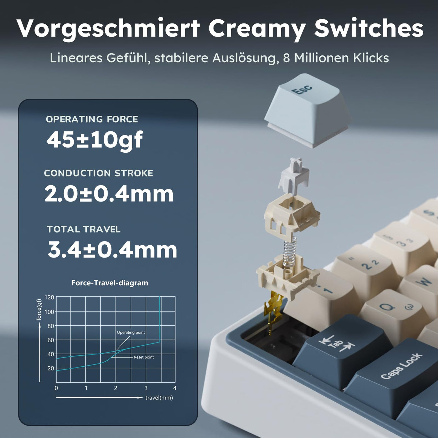 RK ROYAL KLUDGE R65 Mechanische Tastatur 60 Prozent mit Knopf, Gasket Gaming Tastatur Kabellos Bluetooth/2.4G/USB-C RGB PBT Tastenkappen QWERTZ QMK/VIA, Hot Swap Linearer Creamy Switches