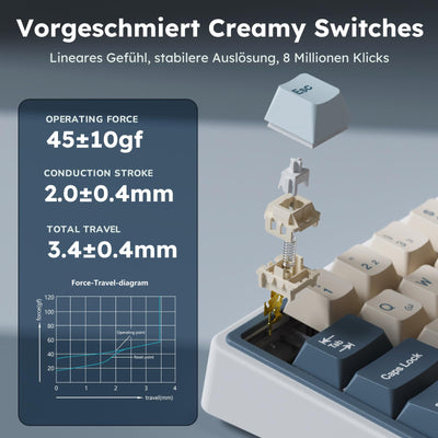 RK ROYAL KLUDGE R65 Mechanische Tastatur 60 Prozent mit Knopf, Gasket Gaming Tastatur Kabellos Bluetooth/2.4G/USB-C RGB PBT Tastenkappen QWERTZ QMK/VIA, Hot Swap Linearer Creamy Switches