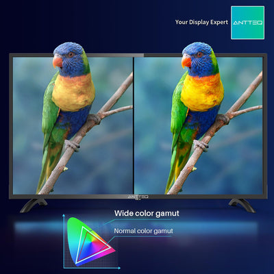 Antteq AB42D1 Fernseher 42 Zoll (TV 107 cm), Dolby Audio, LED, Triple Tuner DVB-C / T2 / S2, CI+, HDMI, Mediaplayer per USB, digitaler Audioausgang, incl. Hotelmodus