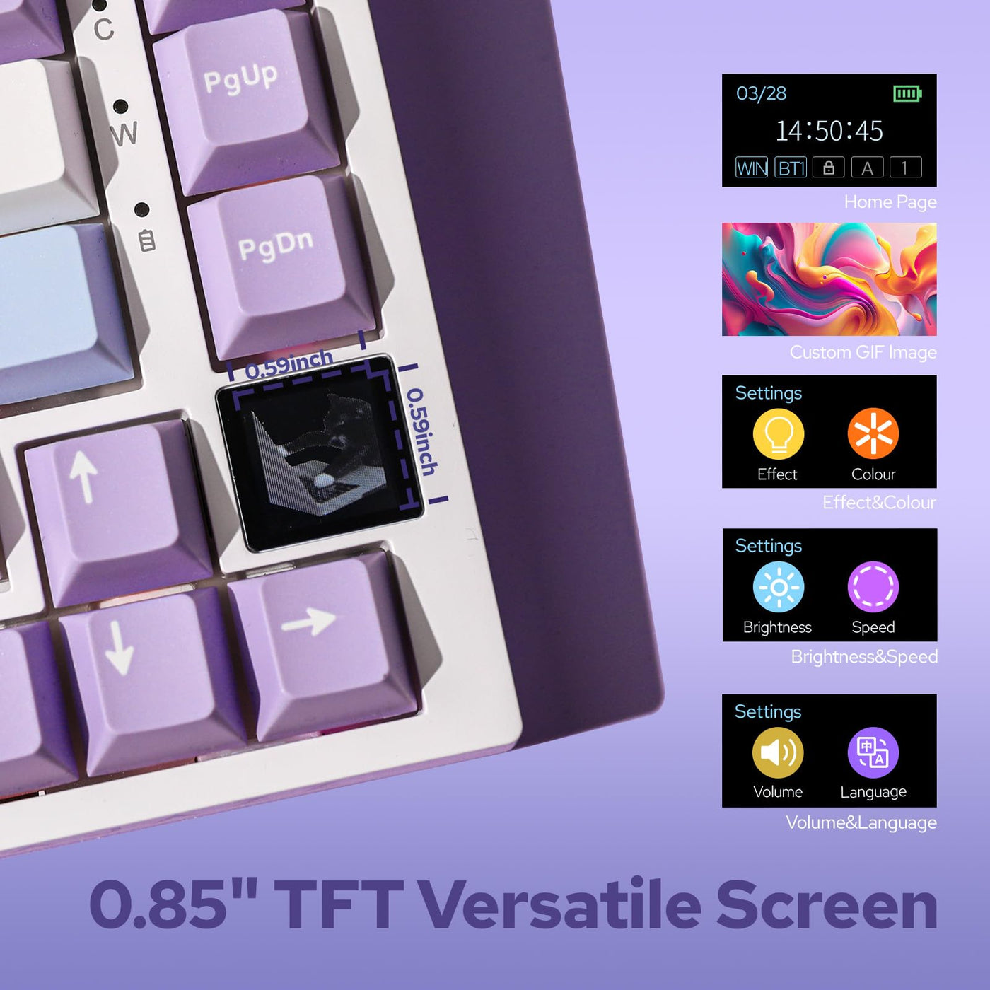 EPOMAKER Ajazz AK820 Pro Gasket Mechanische Tastatur mit Kabel/Bluetooth/kabellos, TFT Bildschirm, beleuchtet RGB, Schalldümpfende Foam für Win/Mac/PC (White Purple, Ajazz Gift Switch)