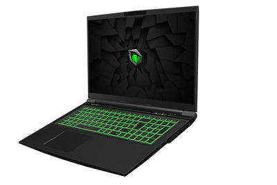 TULPAR T7 V20.6.1 Gaming Laptop | 17,3'' FHD 1920X1080 144HZ IPS LED-Display | Intel Core i7 13700H | 32 GB RAM | 1 TB SSD | Nvidia RTX 4060 | Windows 11 Gaming Notebook