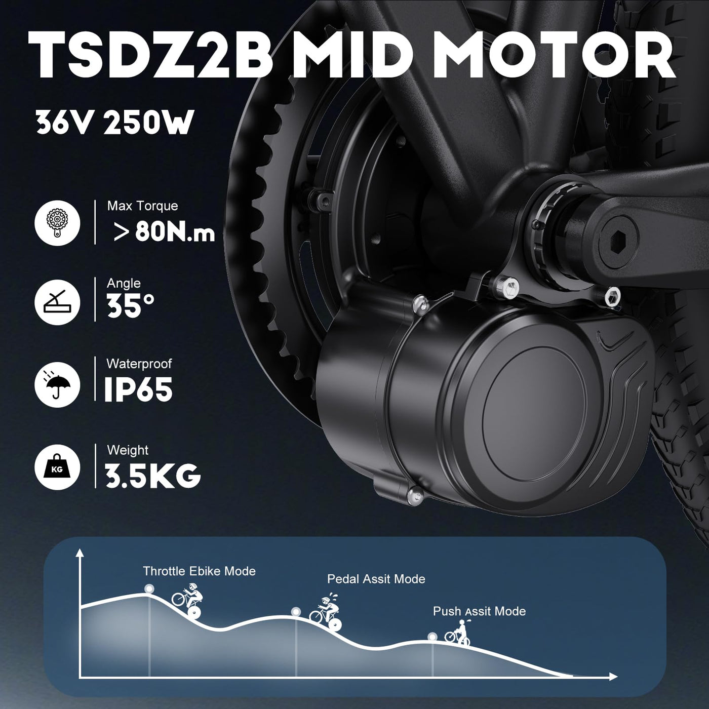 TSDZ Mittelmotor TSDZ8 48V 750W 500W TSDZ2B 36V 250W 2024 Version mit optional Batterie,Elektrofahrrad Umbausatz mit EKD01 Multilanguage Anzeige, SWM58 größeres Display,DZ40 Display