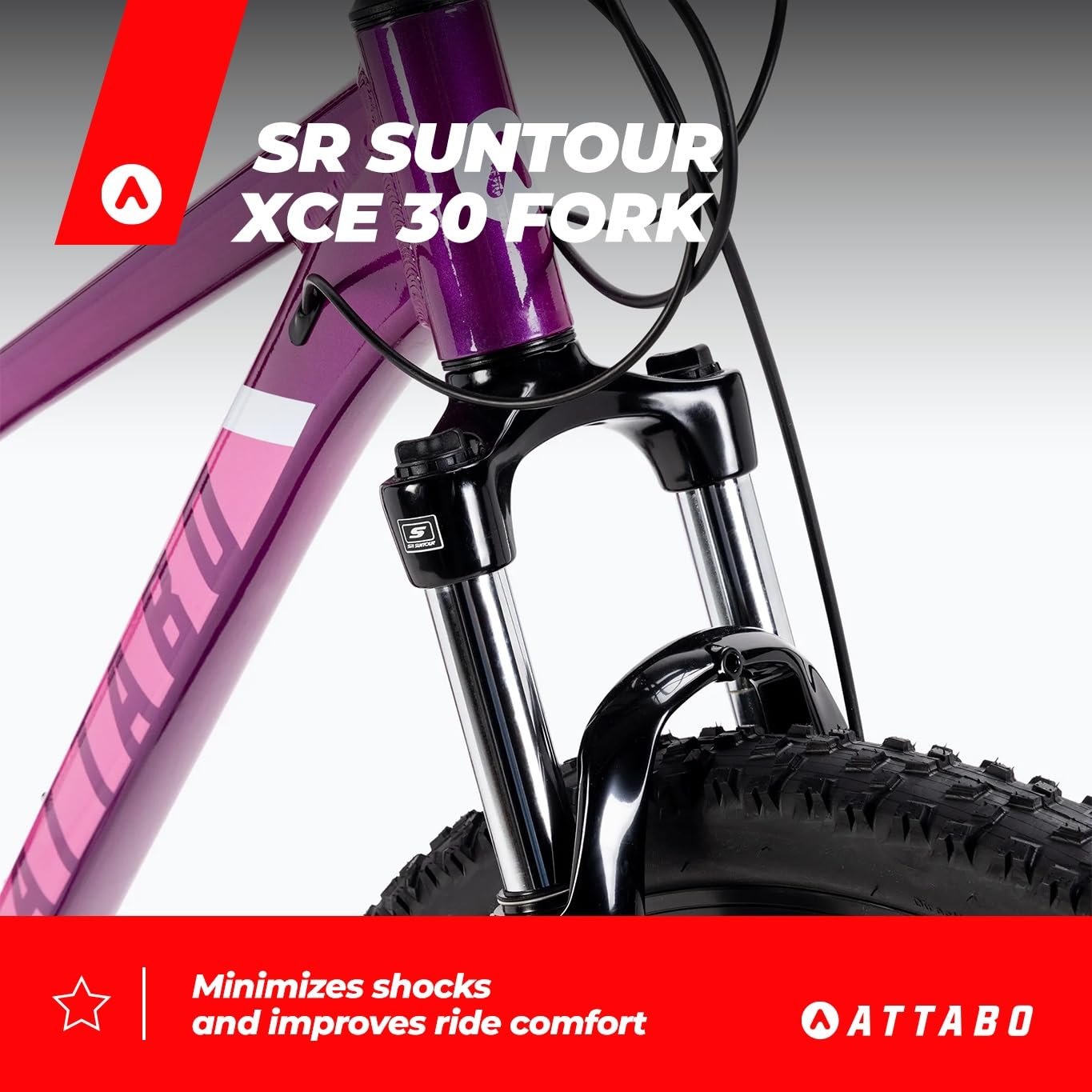 ATTABO Damen Fahrrad Alpe 3.0 mit Aluminiumrahmen 15" Ergonomischer Lenker Hydraulische Scheibenbremsen Lila Mountainbike mit 29" Rädern mit Zubehör Verstellbarer Sattel 24-Gang Schaltung