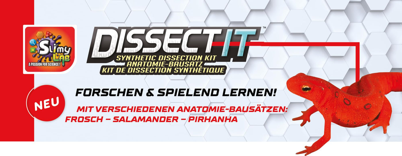 Original SLIMY Lab Dissect-IT Frosch - Experimentieren & Forschen Sezier-Set - Schleim Labor, prämiertes STEM/Mint Lernspielzeug, Slime-Set mit Spielknete und Sezierwerkzeug