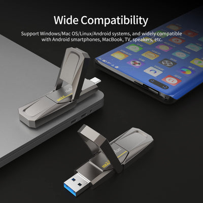 Netac US5 256GB Solid USB State Drive Externe tragbare USB SSD Typ-c und USB 3.2 Dual Interface Geschwindigkeit bis zu 550MB/s