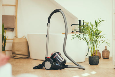 SEVERIN Beutelloser Zyklon-Staubsauger, Bodenstaubsauger für konstante Saugkraft, Staubsauger ohne Beutel mit 800 Watt und 9 m Aktionsradius, 2,1 L, schwarz-rot, CY 7089