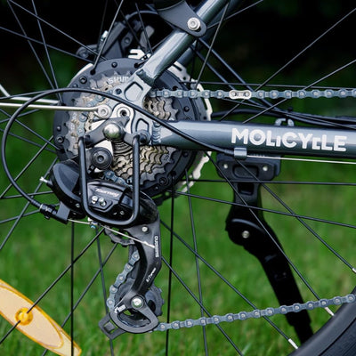 Molicycle R1 E Bike Damen 26 Zoll Elektrofahrräder Trekking/City Fahrrad mit 36V 14.5Ah Wechselakku, Reichweite bis zu 110Km, 250W Motor, EU-konformes Ebike mit App