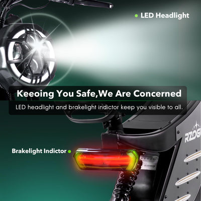 RZOGUWEX Elektrofahrrad, 20-Zoll-Offroad-EBIKE für Erwachsene mit abnehmbarem 48-V-25-Ah-Lithium-Ionen-Akku, doppelter hydraulischer Scheibenbremse mit geschmiedetem Mags-Rad