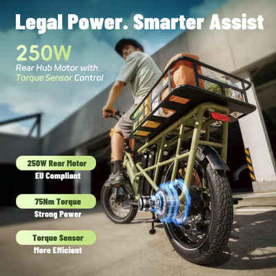 Fafrees FF20 CUV Familie Elektro Fahrrad 20 Zoll [ Offiziell ] Damen E Bike Herren 25km/h Pedelec, 200kg 75N.m, 12Ah 48V*2 Akku, Hydraulischbremsen Fatbike für Erwachsene (Kindersitz, Grau)