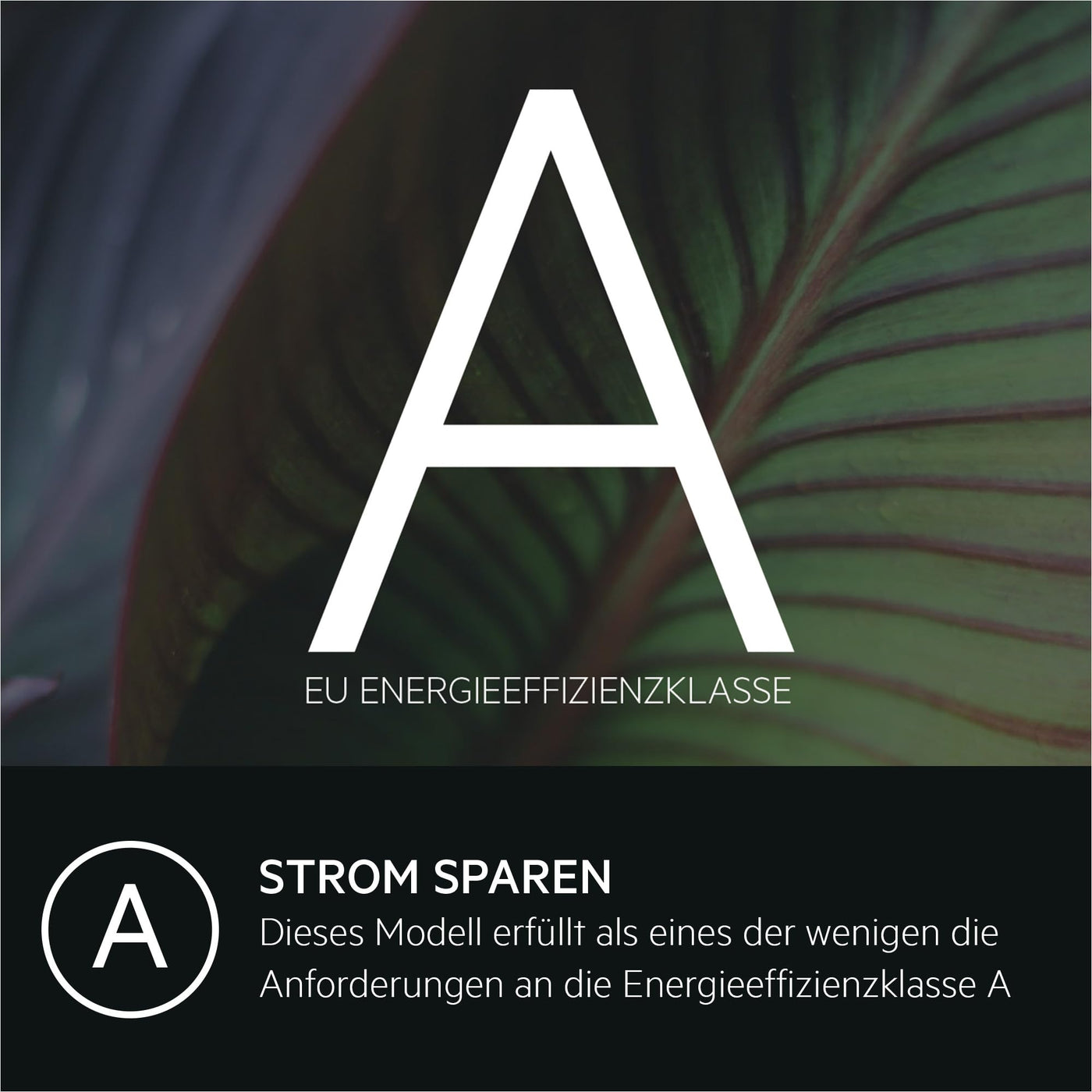 AEG LTR6A41460 Waschmaschine Toplader – Serie 6000 ProSense: Mengenautomatik – 6 kg – EEKL A – SoftOpening Trommeldeckelöffnung – Wasserschutzalarm – Wasserstoppschlauch – Inverter Motor – 1400 U/min