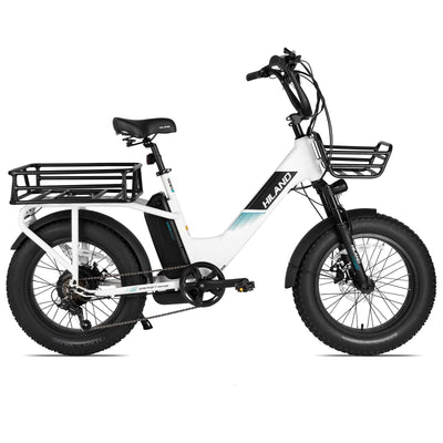 HILAND 20 Zoll 4.0 Fat Tire E Bike Cargo für Erwachsene, Aluminium Alloy Frame Fat Tire Elektrofahrrad, Suspension Fork Elektrofahrrad mit Gepäckträger für Damen und Herren Silber