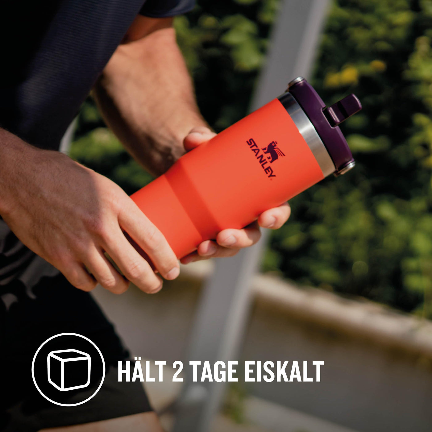 Stanley IceFlow Flip Straw Trinkflasche mit Strohhalm 0.89L - Thermosflasche Hält 12+ Stunden Kalt - Auslaufsicher - Trinkflasche Sport - Wasserflasche BPA Frei - Spülmaschinenfest - Tigerlily Plum