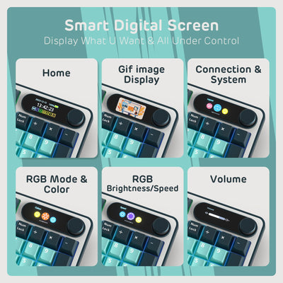RK ROYAL KLUDGE S98 Mechanische Tastatur mit Smart Display & Knopf, Top Mount 96% Kabellose Mechanische Tastatur BT/2.4G/USB-C, Hot-Swap-fähige, Software, Massiver Akku, 98 Tasten, QWERTY
