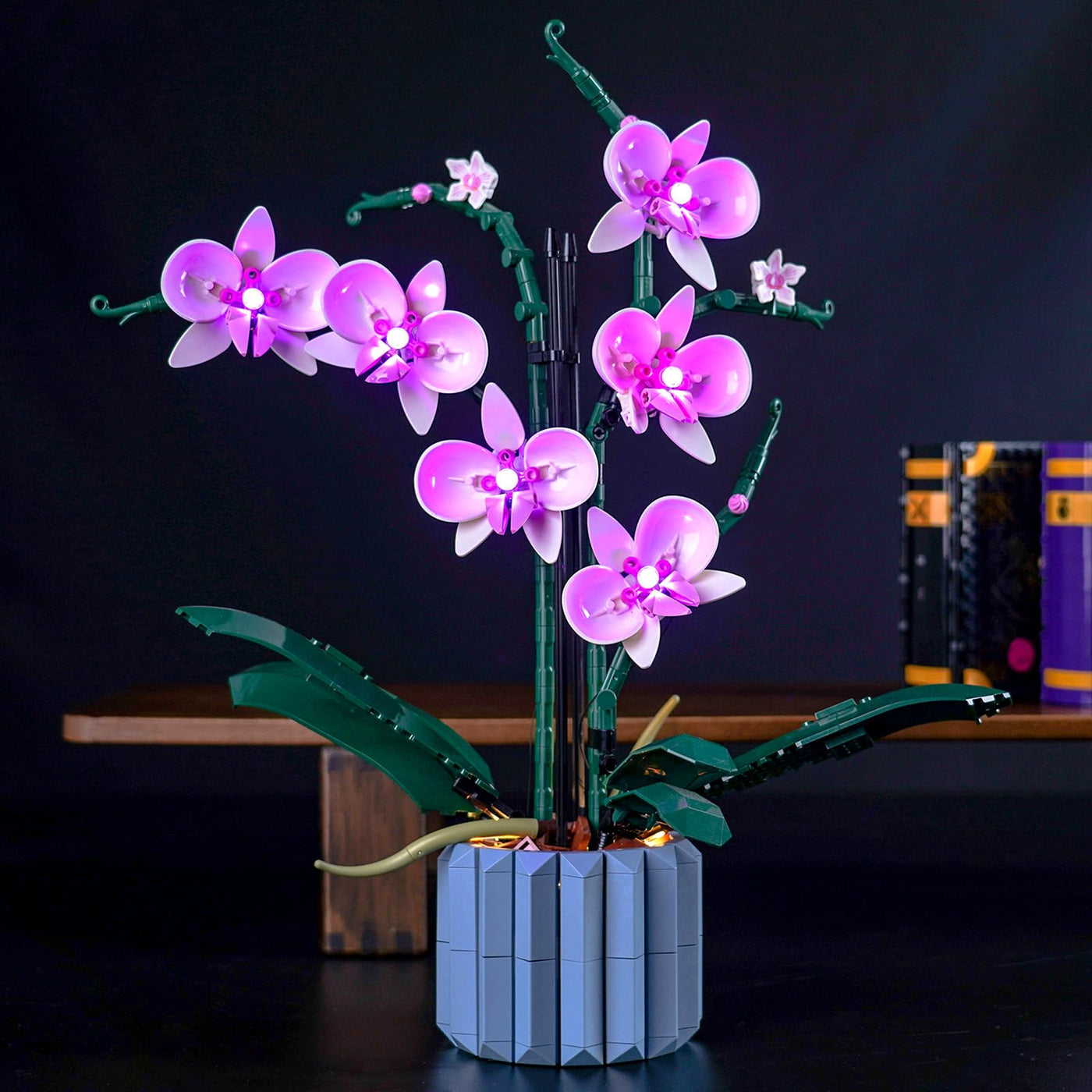 Led Licht Set Kompatibel mit Lego Orchidee (Nur Lichter, kein Baustein), Licht-Kit Compatible with Lego 10311 Orchidee Botanical Collection Set