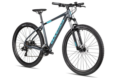 Axess Sandee Mountainbike | MTB-Hardtail | 14-Gang Schaltung | Mechanische Scheibenbremsen, Farbe:Grey, Rahmengröße:21 Zoll, Laufradgröße:29 Zoll
