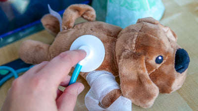 Clementoni Galileo Lab – Entdecke die Welt der Tiermedizin, spannendes Spielset mit vielen Utensilien & nützlichen Informationen, für angehende Tierärzte ab 5 Jahren von Clementoni 59262