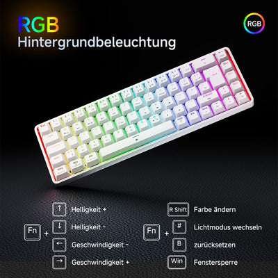 TMKB T68 Gaming Tastatur,60% Kabellos Mechanische RGB Tastatur mit Bluetooth/2.4G/Typ-C,Compact 68 Tasten Anti-Ghosting,Deutsches QWERTZ Layout,Blue Clicky Switch,weiße