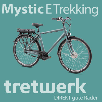 TRETWERK - 28 Zoll E-Bike Herren Pedelec - Mystic grau - E-Citybike Herrenfahrrad mit 7 Gang Shimano Nexus Nabenschaltung - Elektrofahrrad mit Frontmotor 250W, 36V