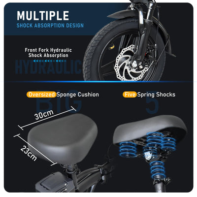 DEEPOWER Klappbares Elektrofahrrad, Elektrofahrrad, 48V 10Ah herausnehmbarer Akku, 250W Motor, Doppelscheibenbremsen, Citybike für Erwachsene (10Ah)