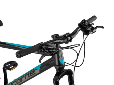 Licorne Bike Guide Premium 29 Zoll Mountainbike - Federgabel MTB mit Scheibenbremsen - Deutsche Markenqualität - Für Jugendliche & Erwachsene (Schwarz/Blau)