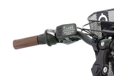 F.lli Schiano E-Ride, E Bike Trekking 28 Zoll, 36V 10.4Ah Abnehmbarer Akku, Motor 250W 40Nm, Trekking EBike für Herren/Damen, Weiss