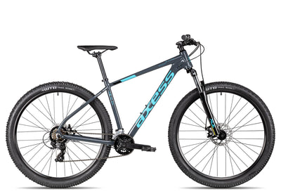 Axess Sandee Mountainbike | MTB-Hardtail | 14-Gang Schaltung | Mechanische Scheibenbremsen, Farbe:Grey, Rahmengröße:21 Zoll, Laufradgröße:29 Zoll