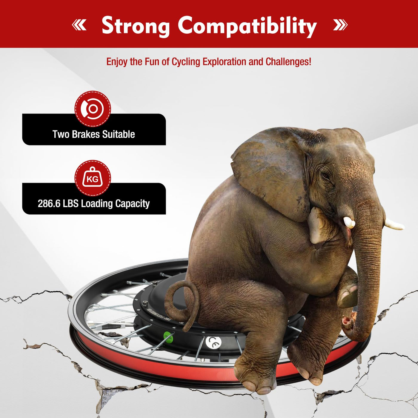 JAYEUW Elektrofahrrad Umrüstsatz 20 Zoll 48V 1000W E-Bike Umrüstsatz Elektrofahrrad Vorder-/Hinterrad bürstenlose Motornabe (Front Wheel-48V 1000W)