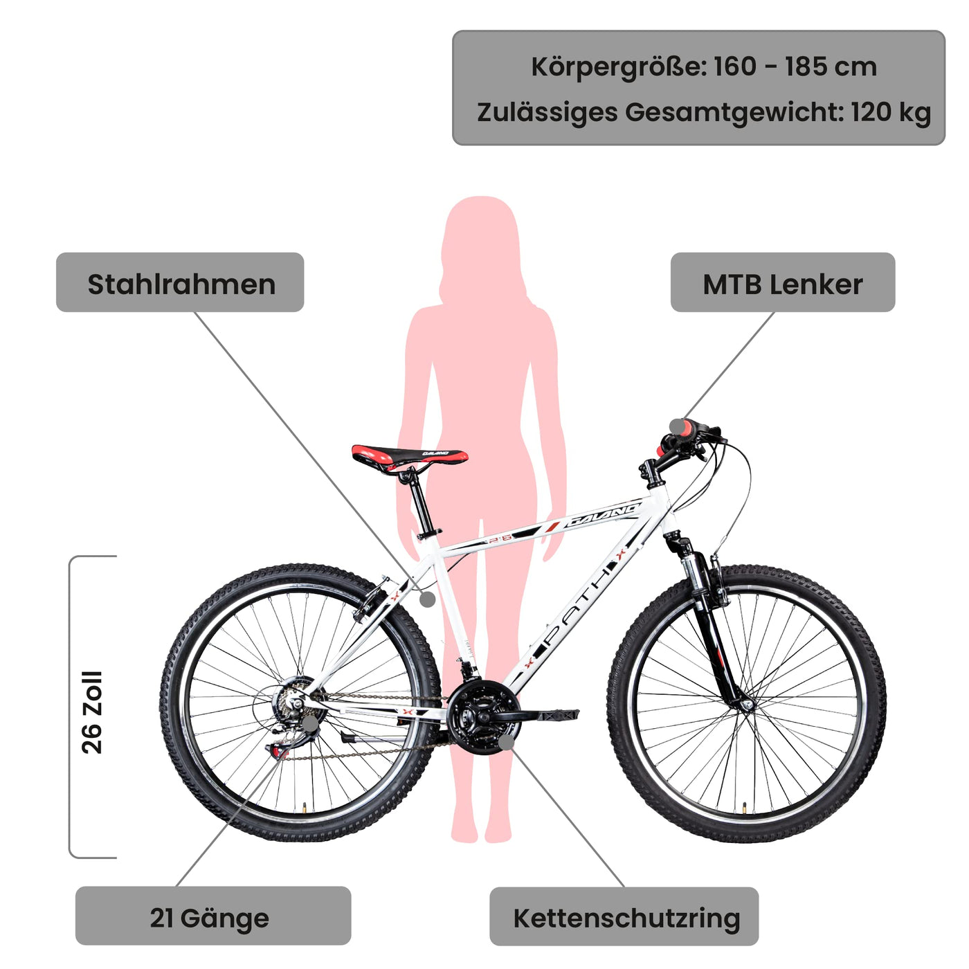 Galano Mountainbike Hardtail 26 Zoll Path MTB Fahrrad 21 Gang Mountain Bike 26" (weiß/schwarz, 46 cm)