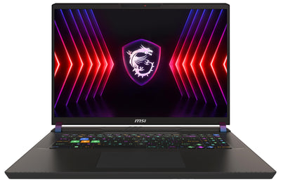 MSI Vector 17 HX Gaming Laptop, 17,0" QHD+ 240Hz, Intel Core i9-13980HX, NVIDIA GeForce RTX 4080, 32GB DDR5, 1TB SSD, Windows 11 Home, QWERTZ Tastatur, A13VHG-813, Cosmos Gray