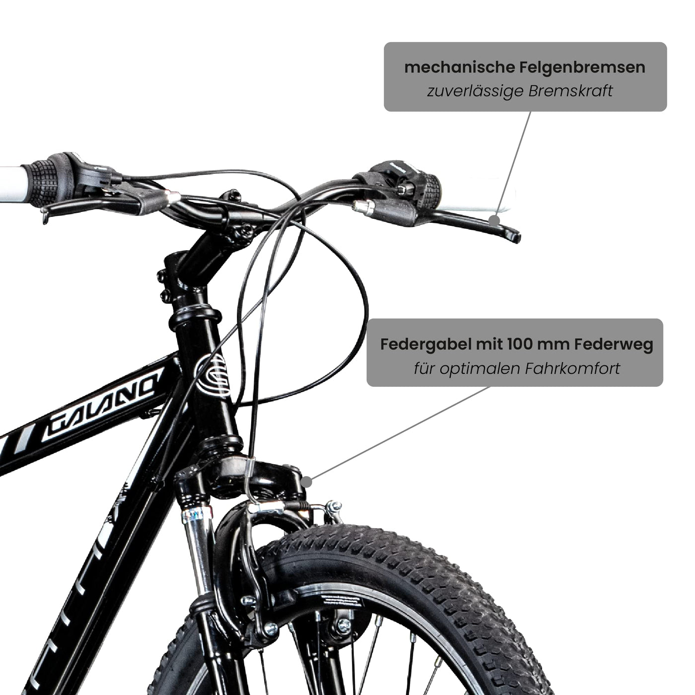 Galano Mountainbike Hardtail 26 Zoll Path MTB Fahrrad 21 Gang Mountain Bike 26" (schwarz/weiß, 46 cm)